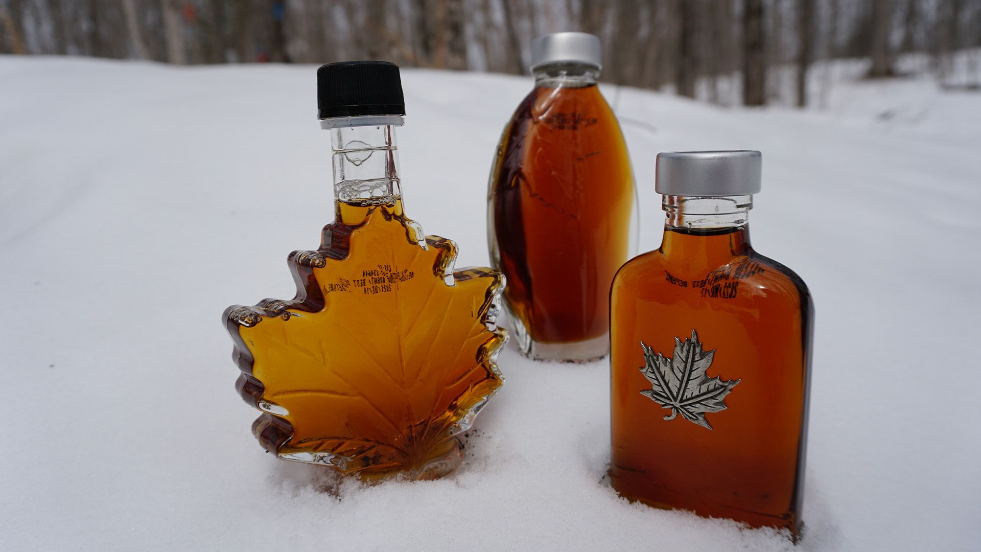 Ahornsirup - Kanadas süßer Schatz