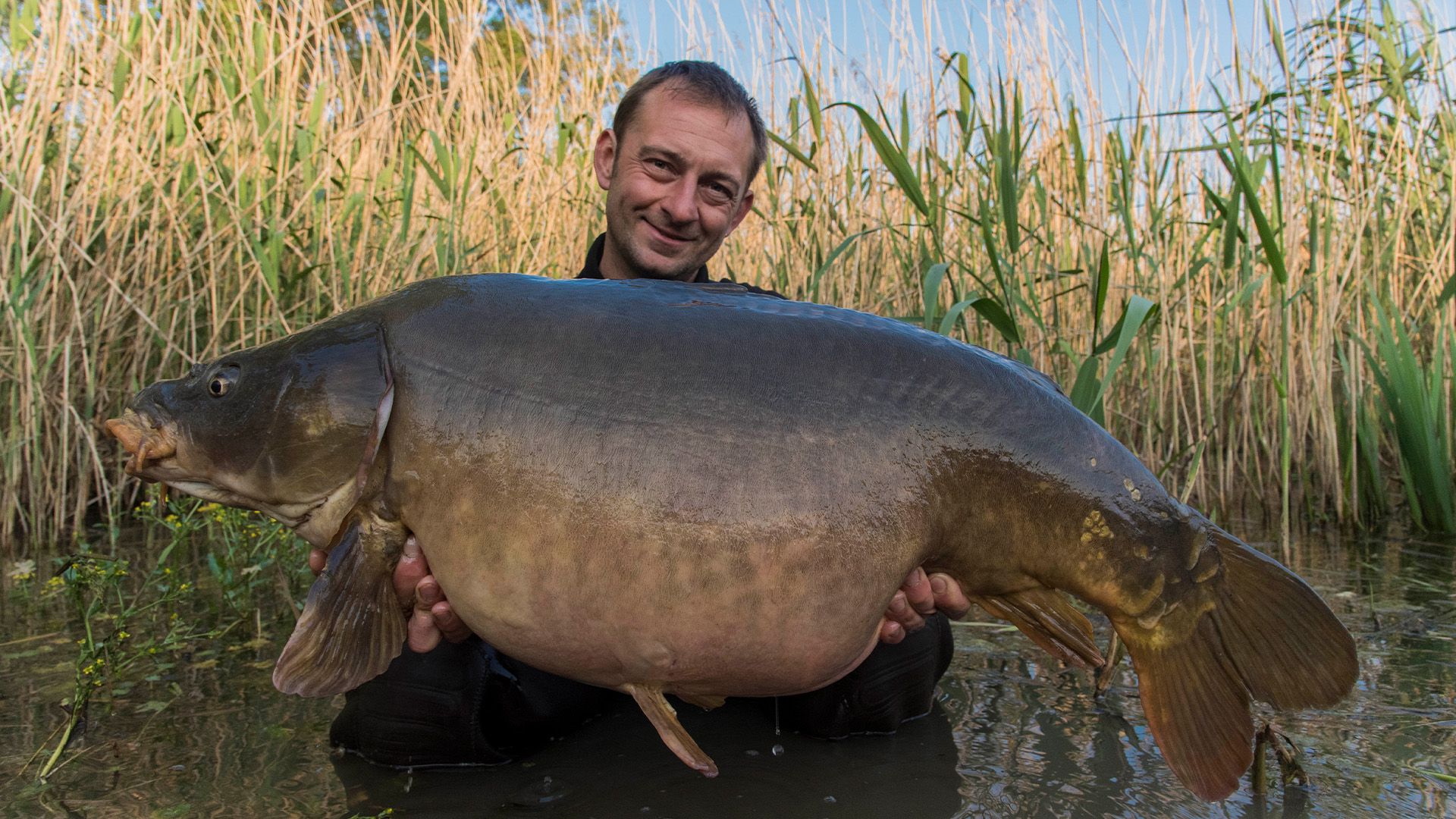 Wieviel frisst ein Karpfen?