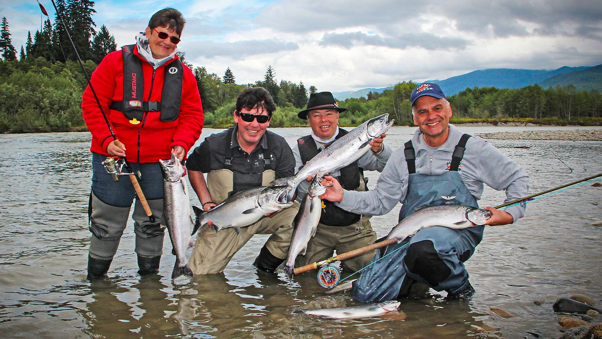 Silberlachse in Nordamerika