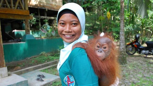Rund um den Globus Rund um den Globus - Staffel 3 Folge 7: Sumatra - Eine neue Chance für die Orang-Utans