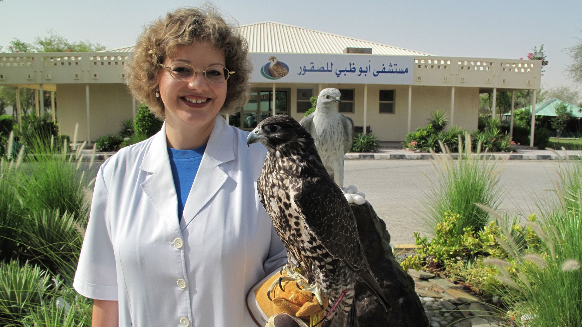 Die Falkenärztin von Abu Dhabi