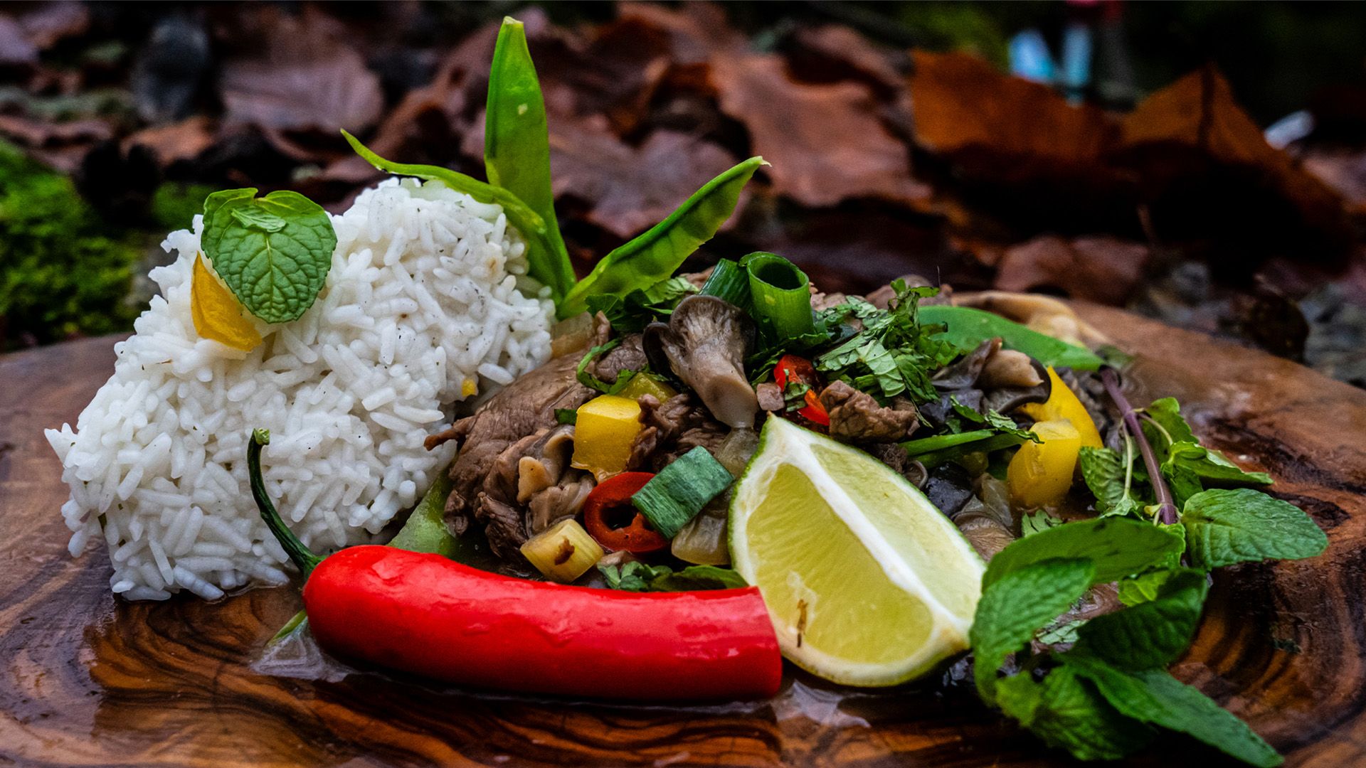 Winterpilze in der Burgruine: Umami-Eklat mit Austernseitlingen