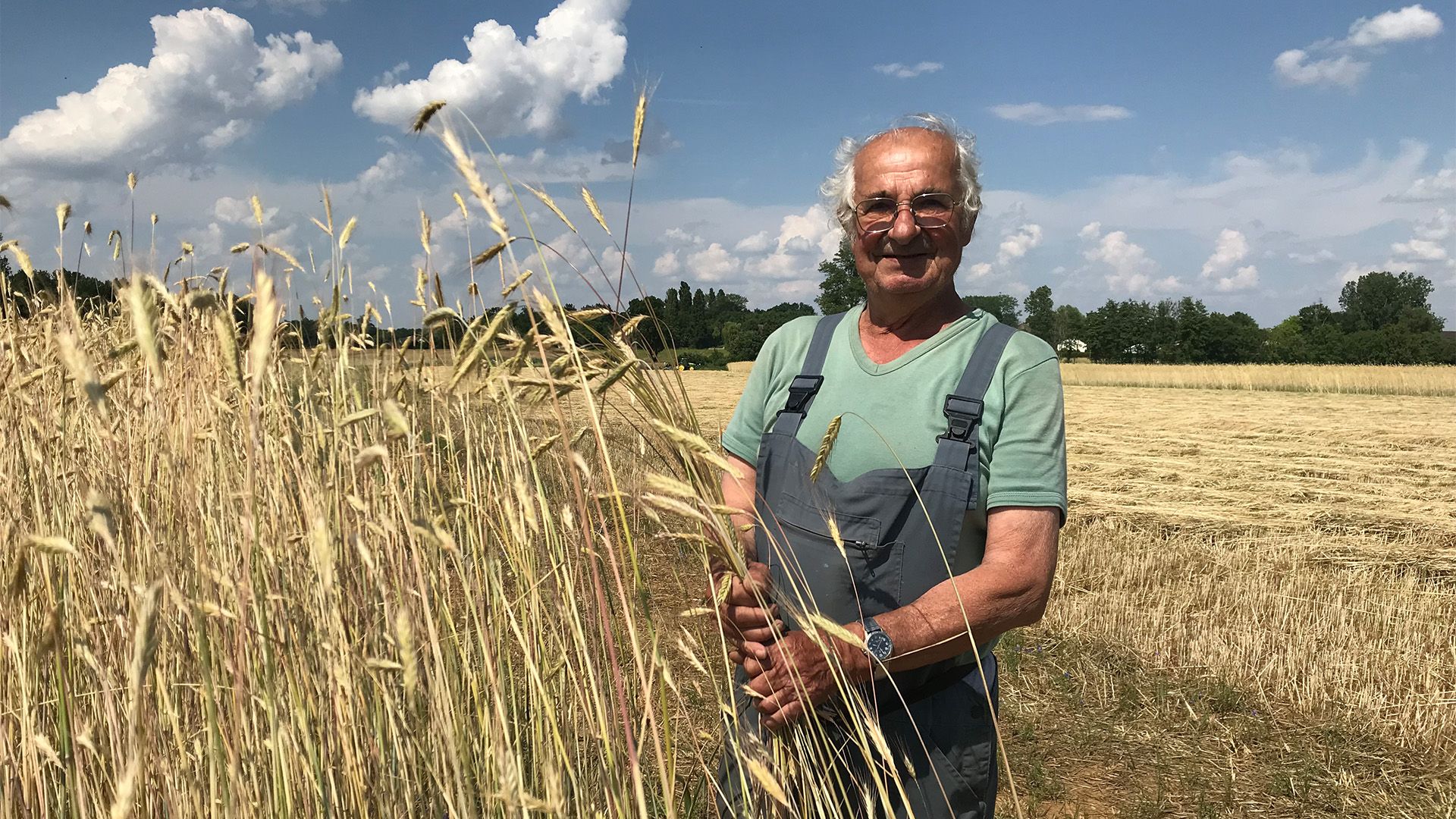 Das teuerste Stroh der Welt