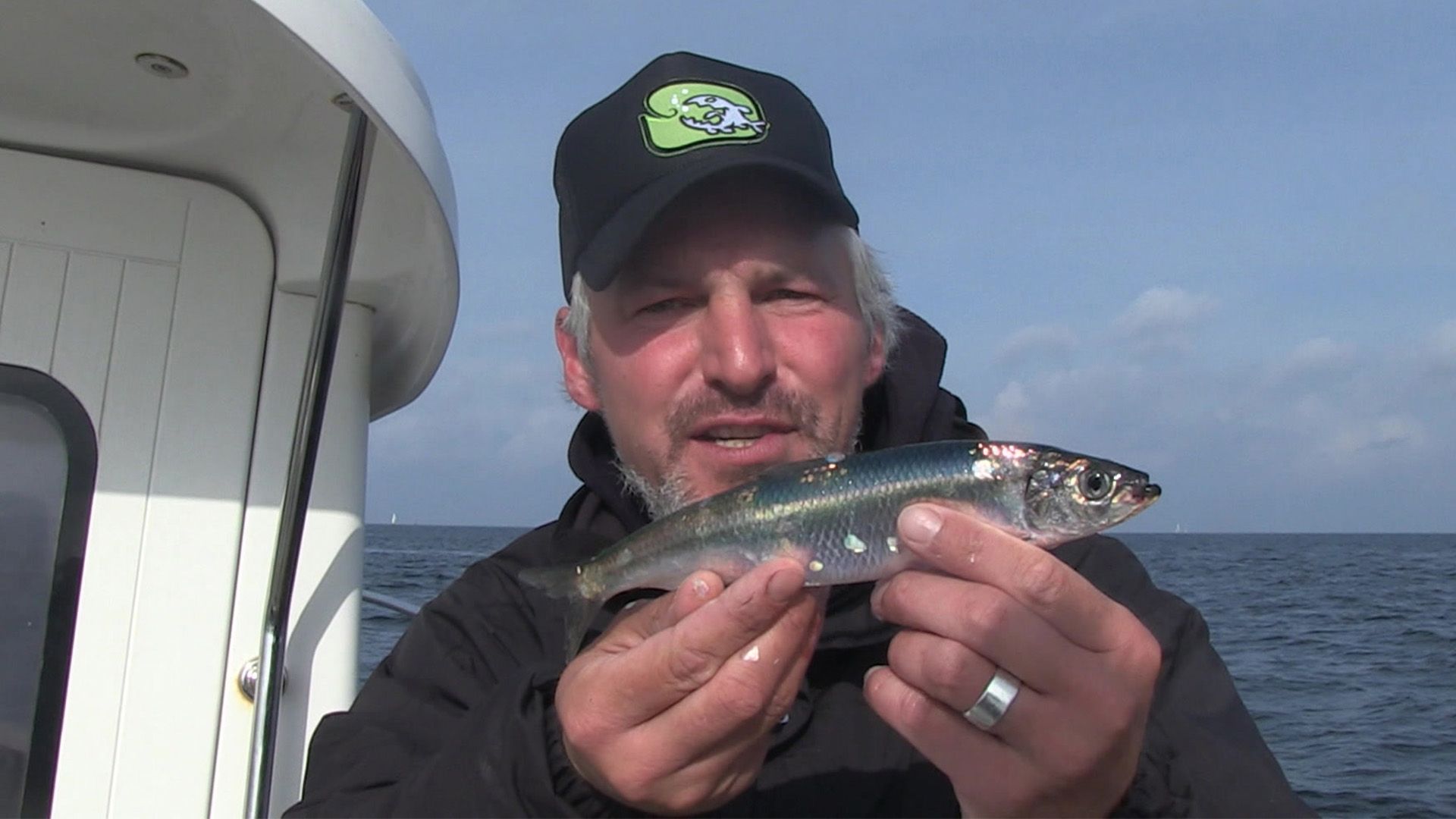 So nehmt ihr Heringe aus