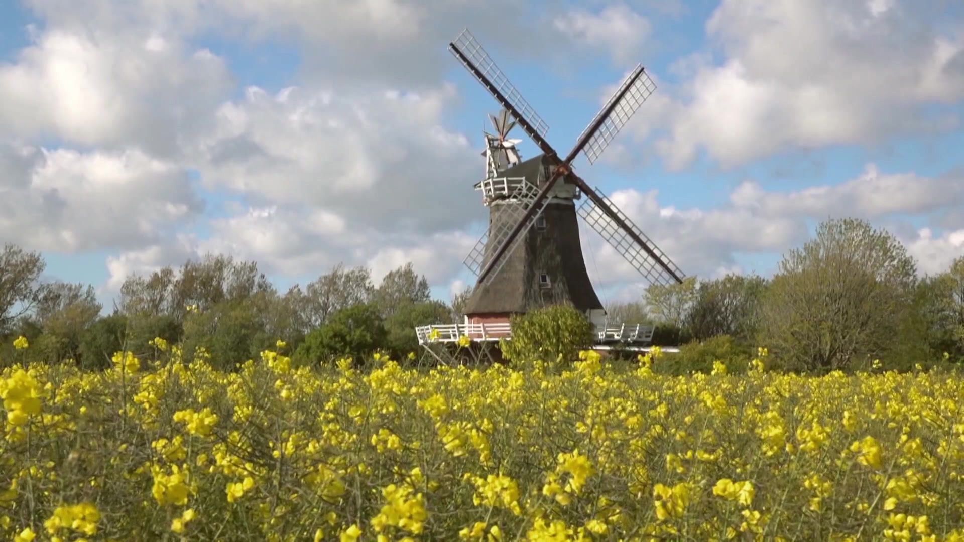 Föhr mit Falk-Willy Wild