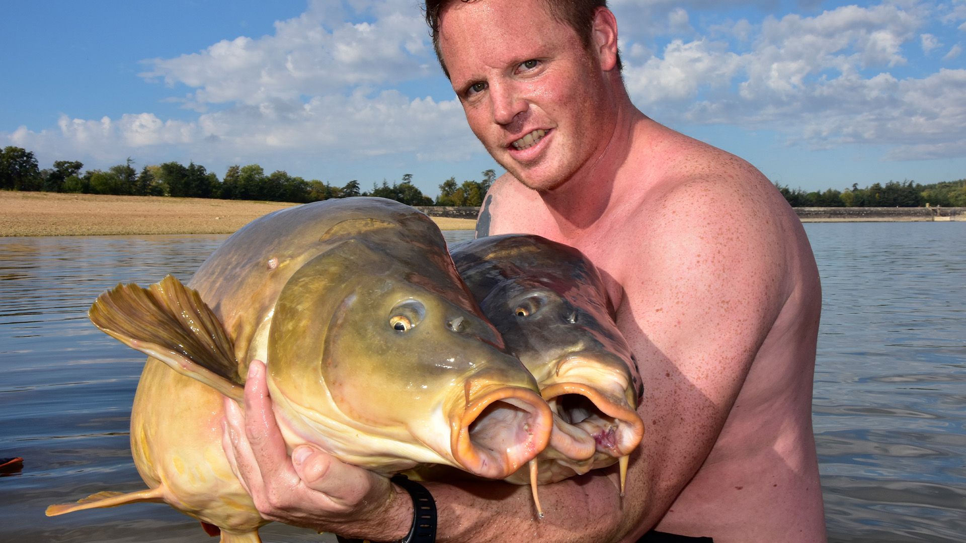 Gibt es Zwillingsfische?