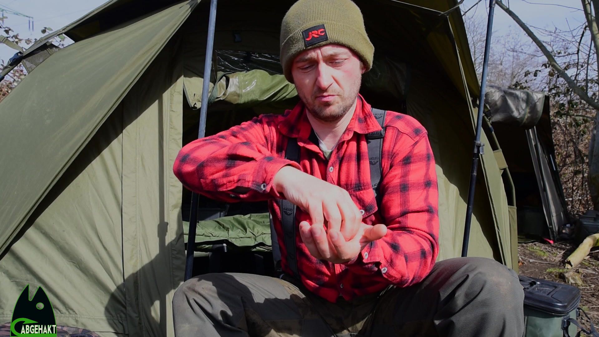 So fressen Karpfen wirklich