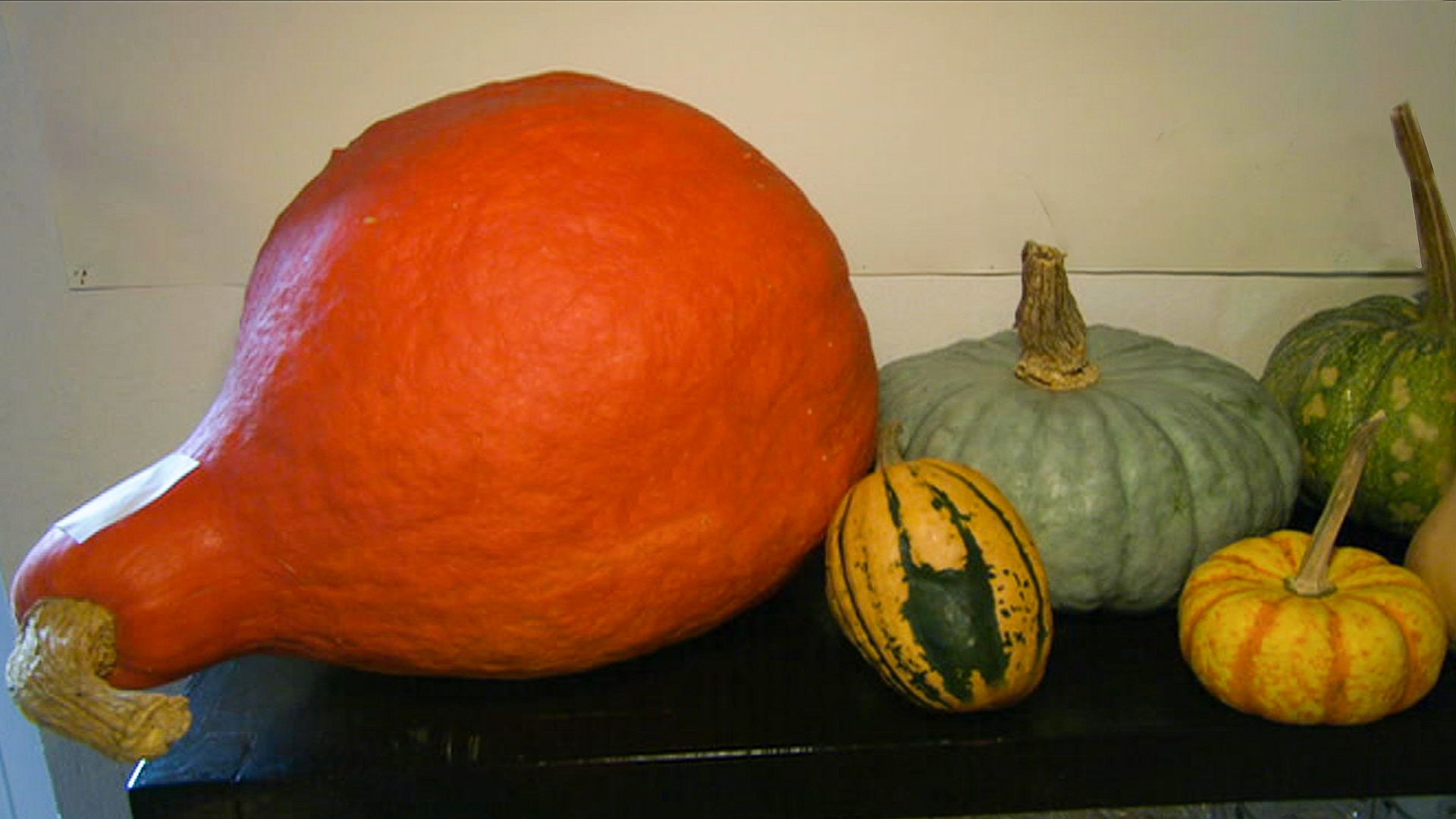 Köstliche Kürbisküche