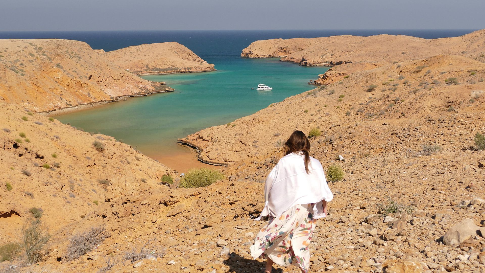 Schnorcheln mit Schildkröten im Golf von Oman