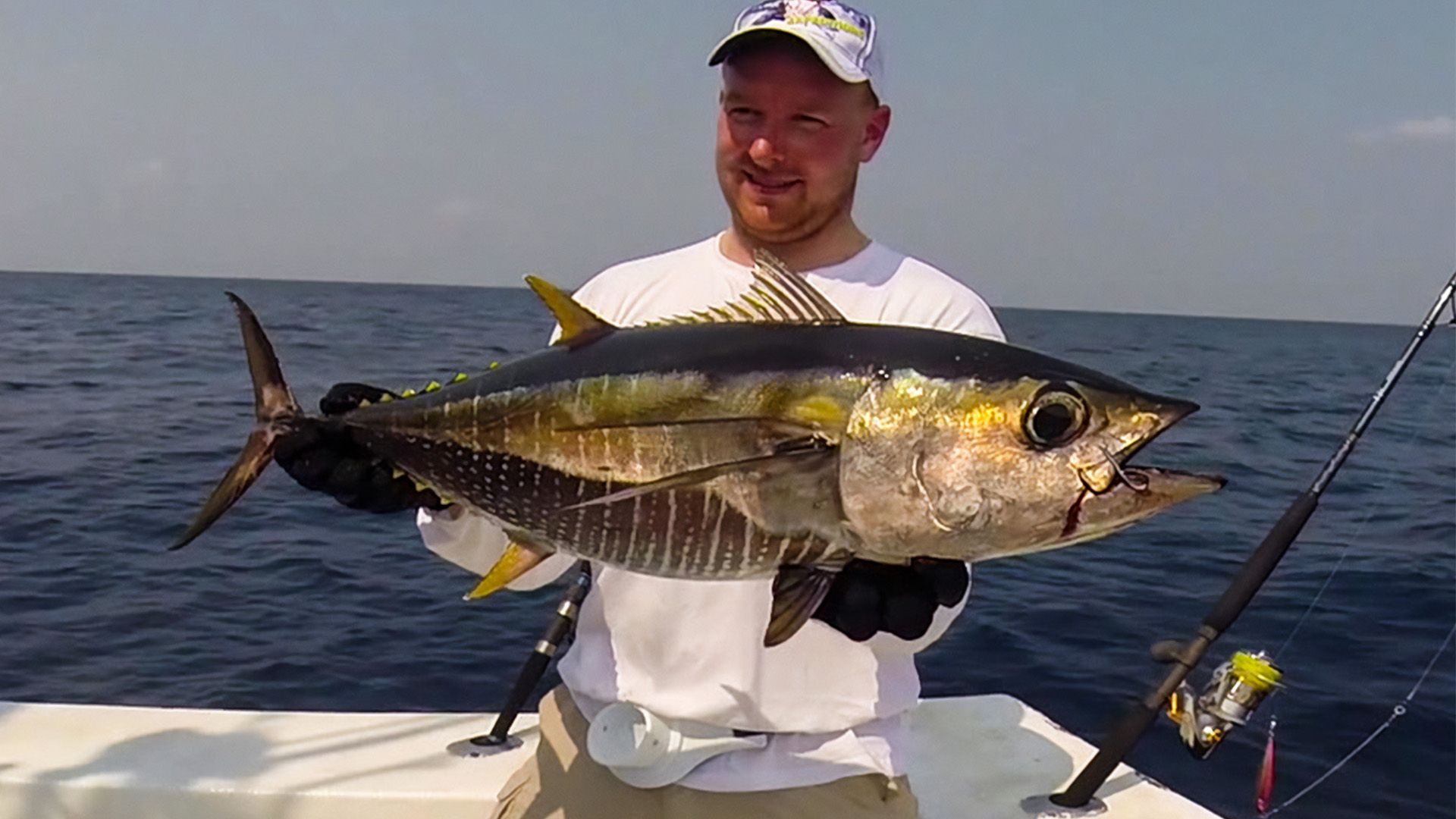 Auf Entdeckungsreise im Golf von Bengalen