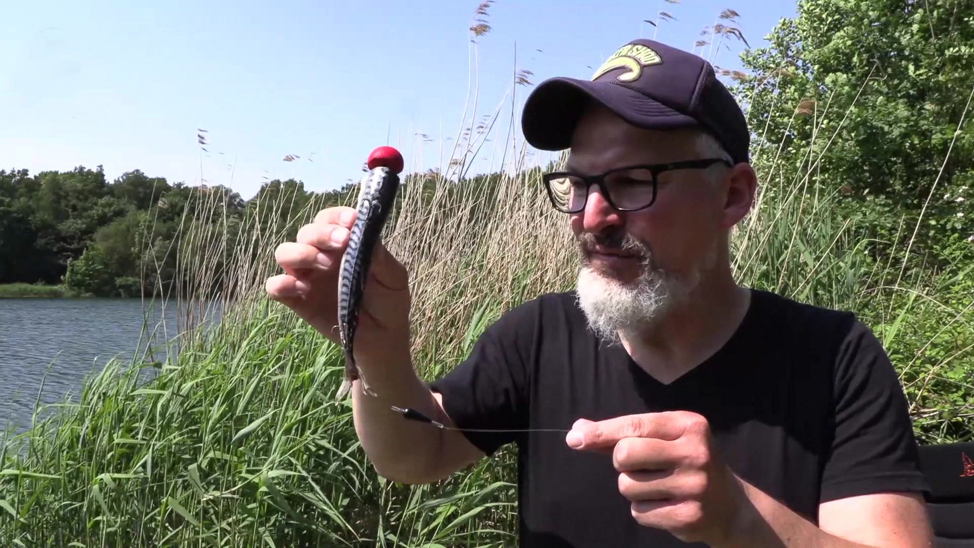 Hechtangeln mit Köderfisch - Die perfekte Pop-up-Montage