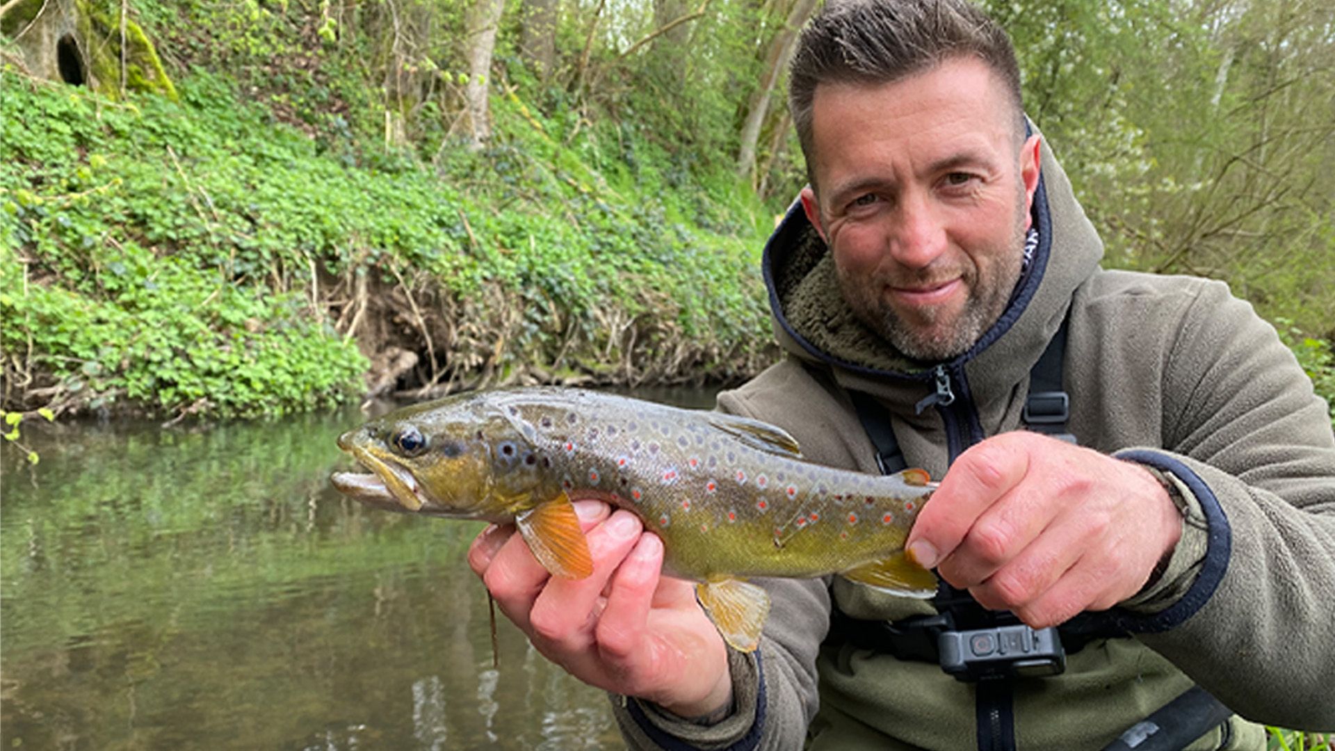 Dieser kleine Bach ist voll mit Fisch