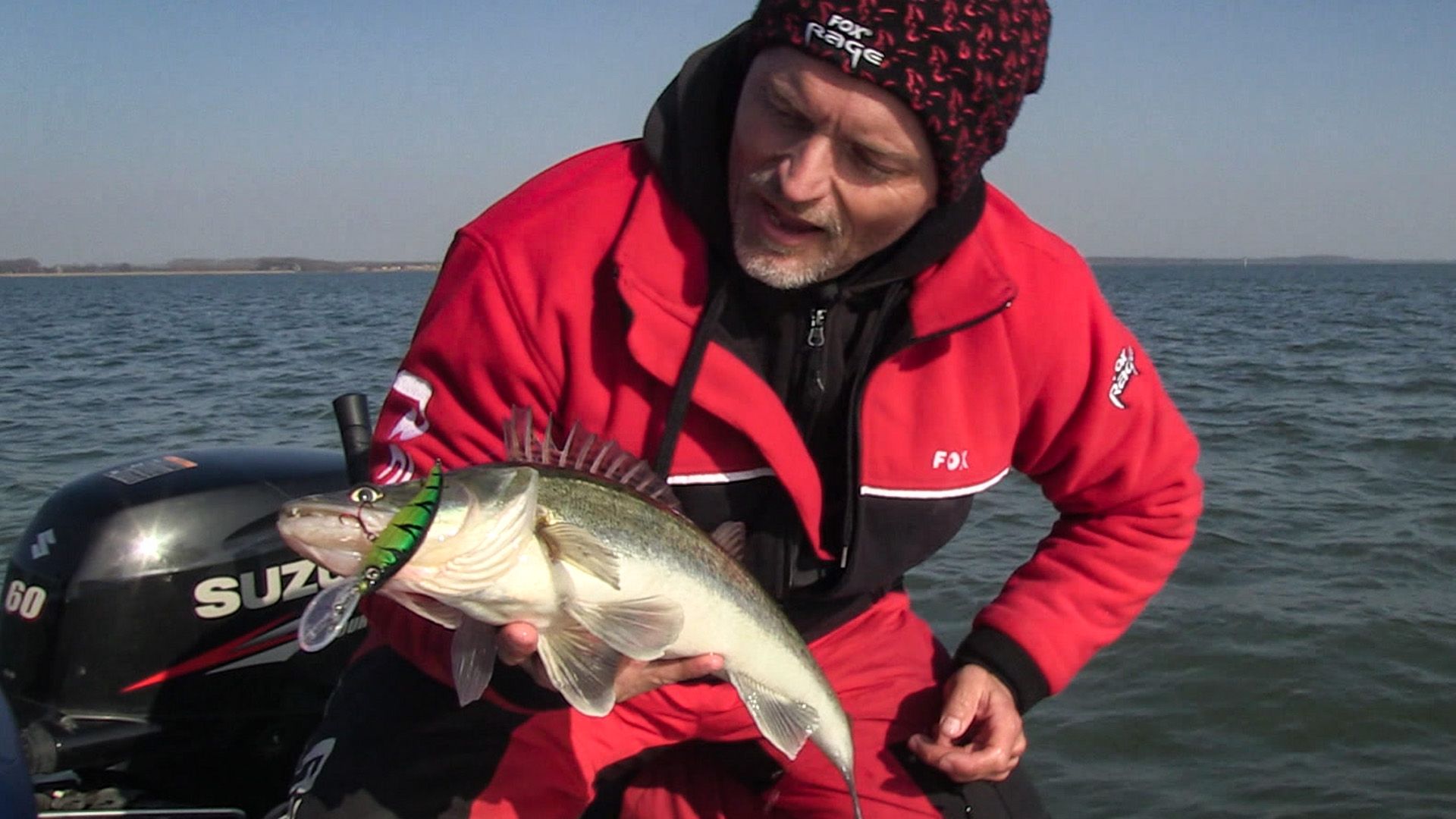 Abgeschleppt! Zanderangeln mit Wobblern