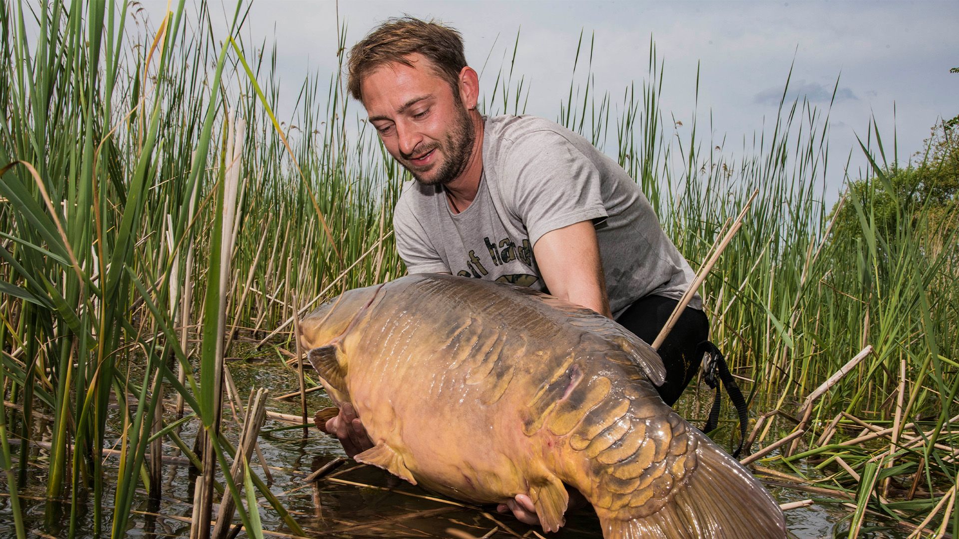 Niederschlag und Wind