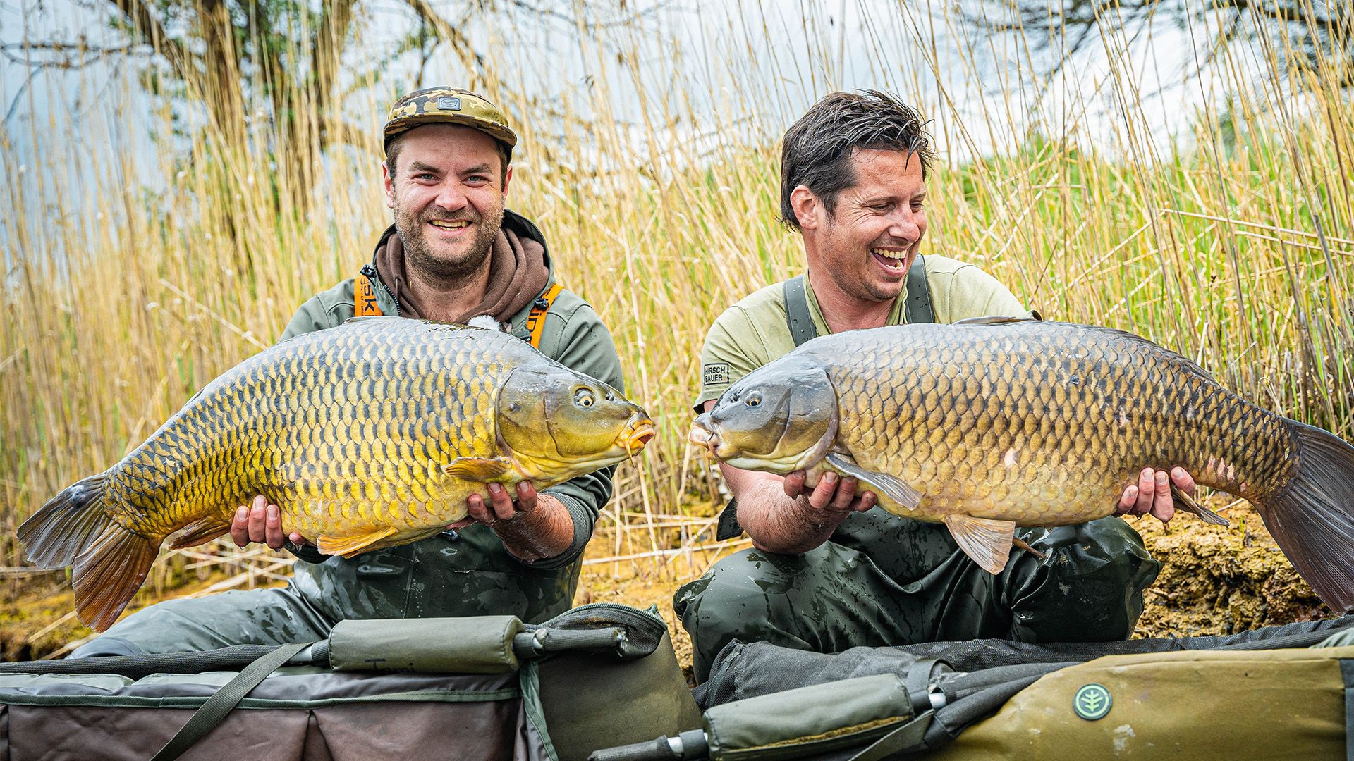 Carpfishing Wild Dreams