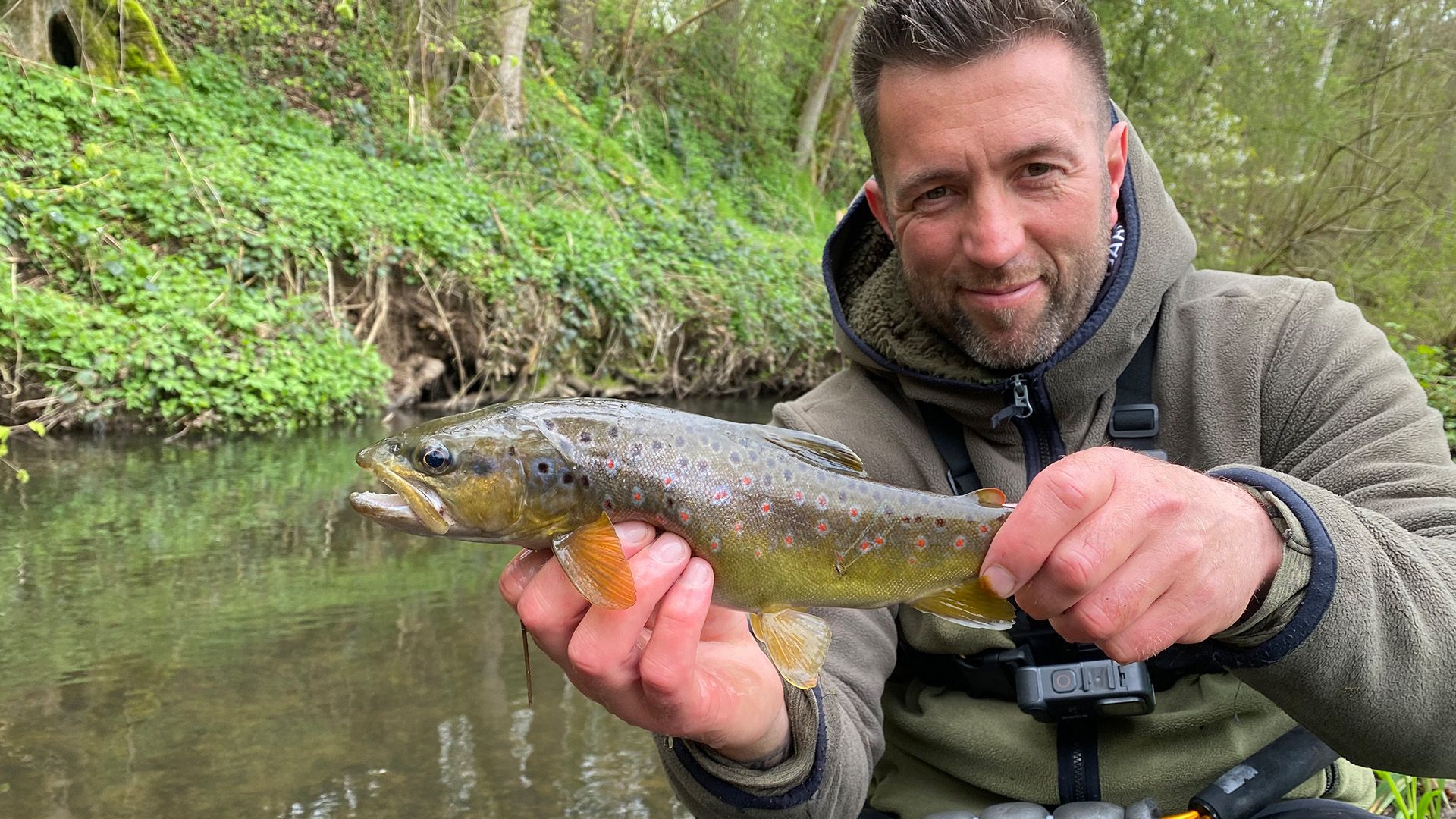 Dieser kleine Bach ist voll mit Fisch