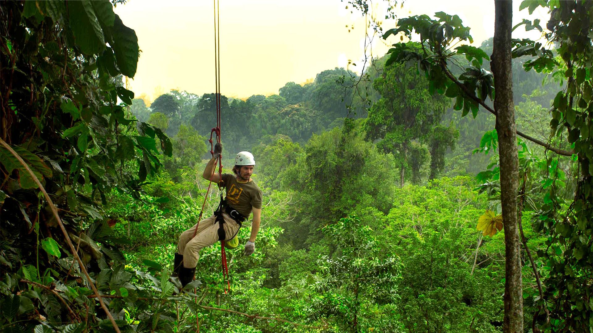 Ein Baumhaus in Costa Rica