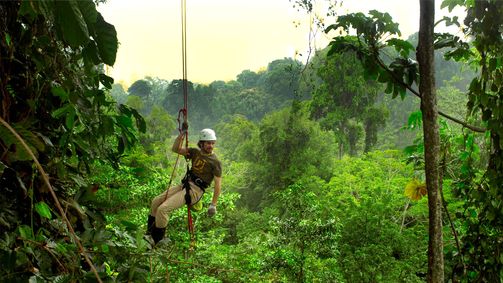 Planet Weltweit Planet Weltweit - Staffel 11 Folge 17: Ein Baumhaus in Costa Rica