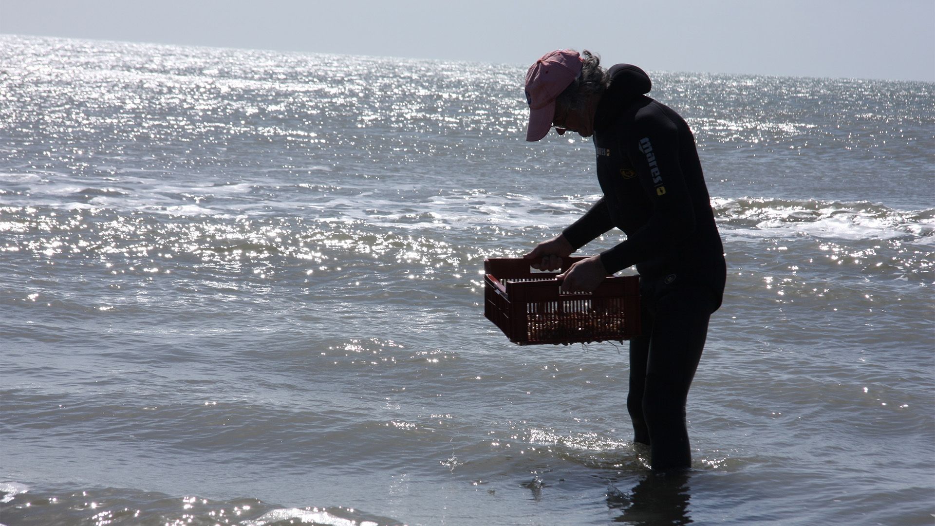 Camargue, zwischen Himmel und Meer