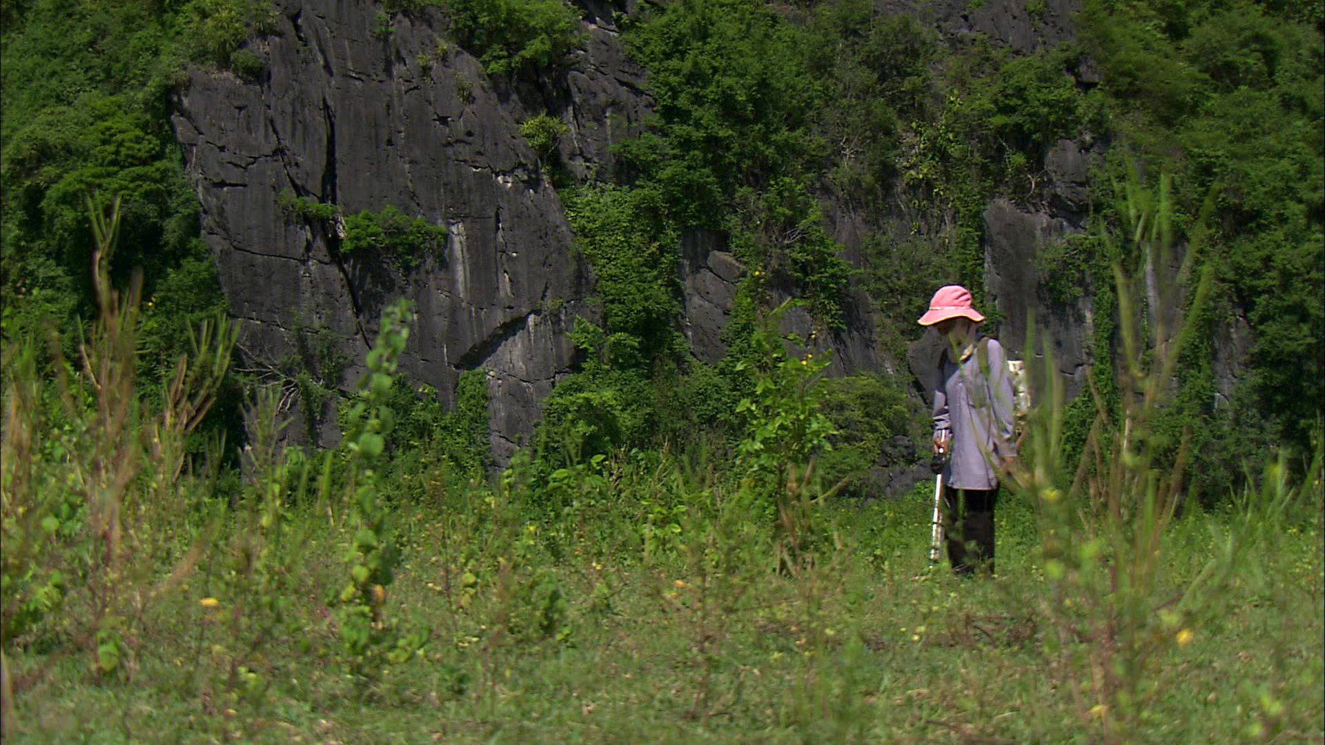 Vietnams vermintes Paradies