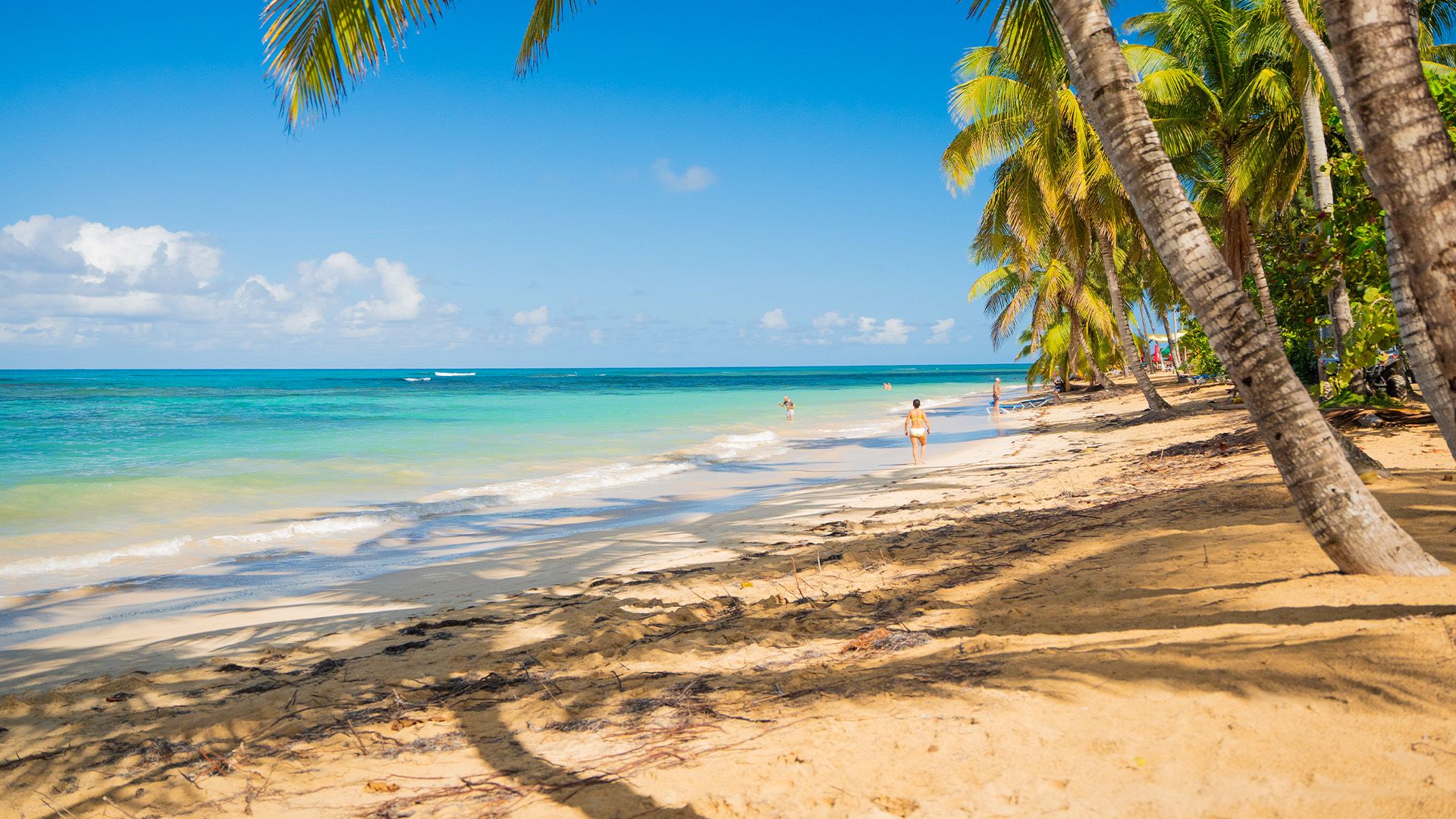 Reiseeuphorie: Roadtrip Dominikanische Republik