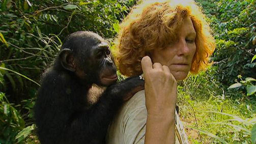 Planet Weltweit Planet Weltweit - Staffel 7 Folge 5: Die Mutter der Bonobos