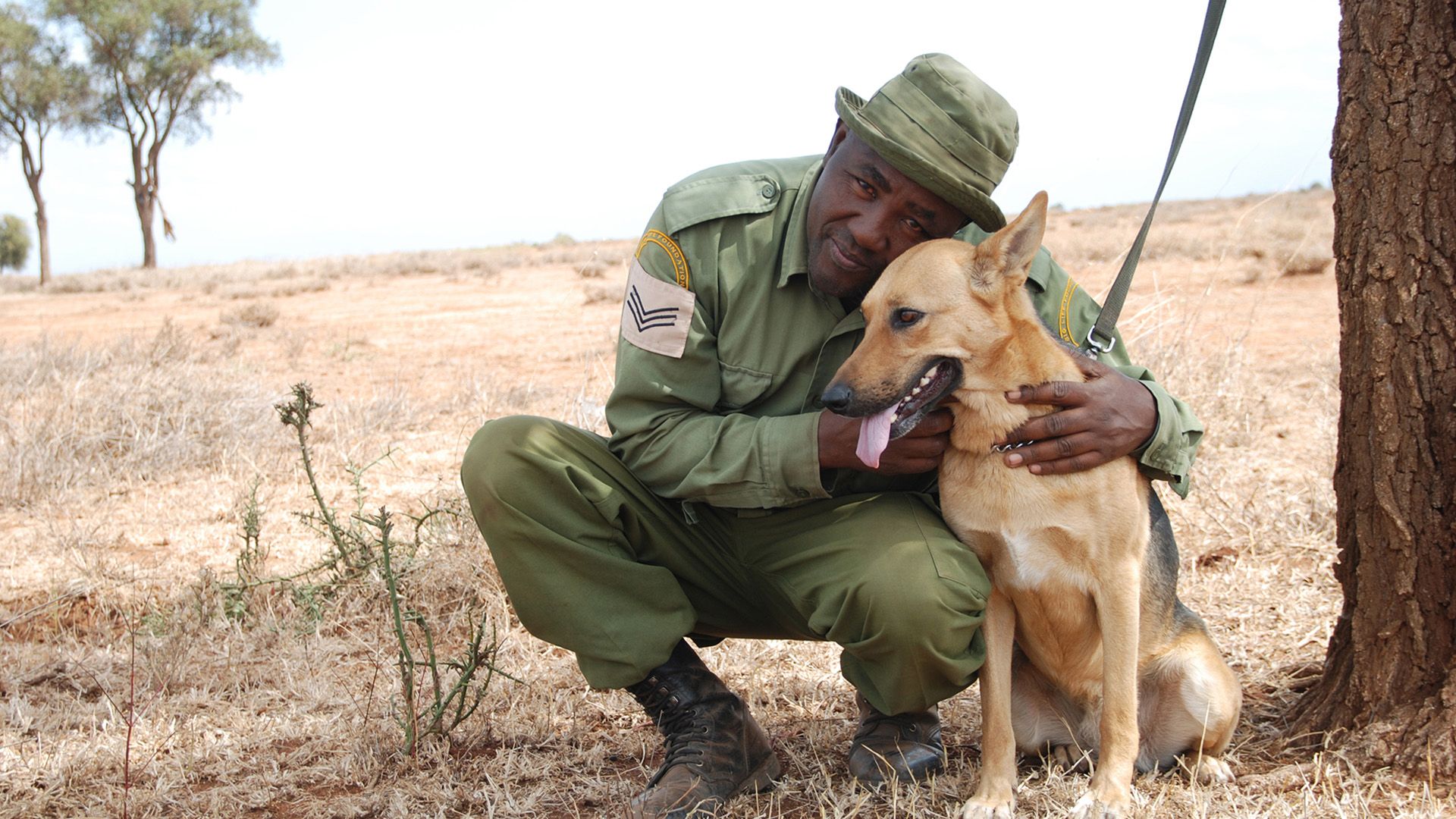 Mit Spürhunden gegen Wilderer