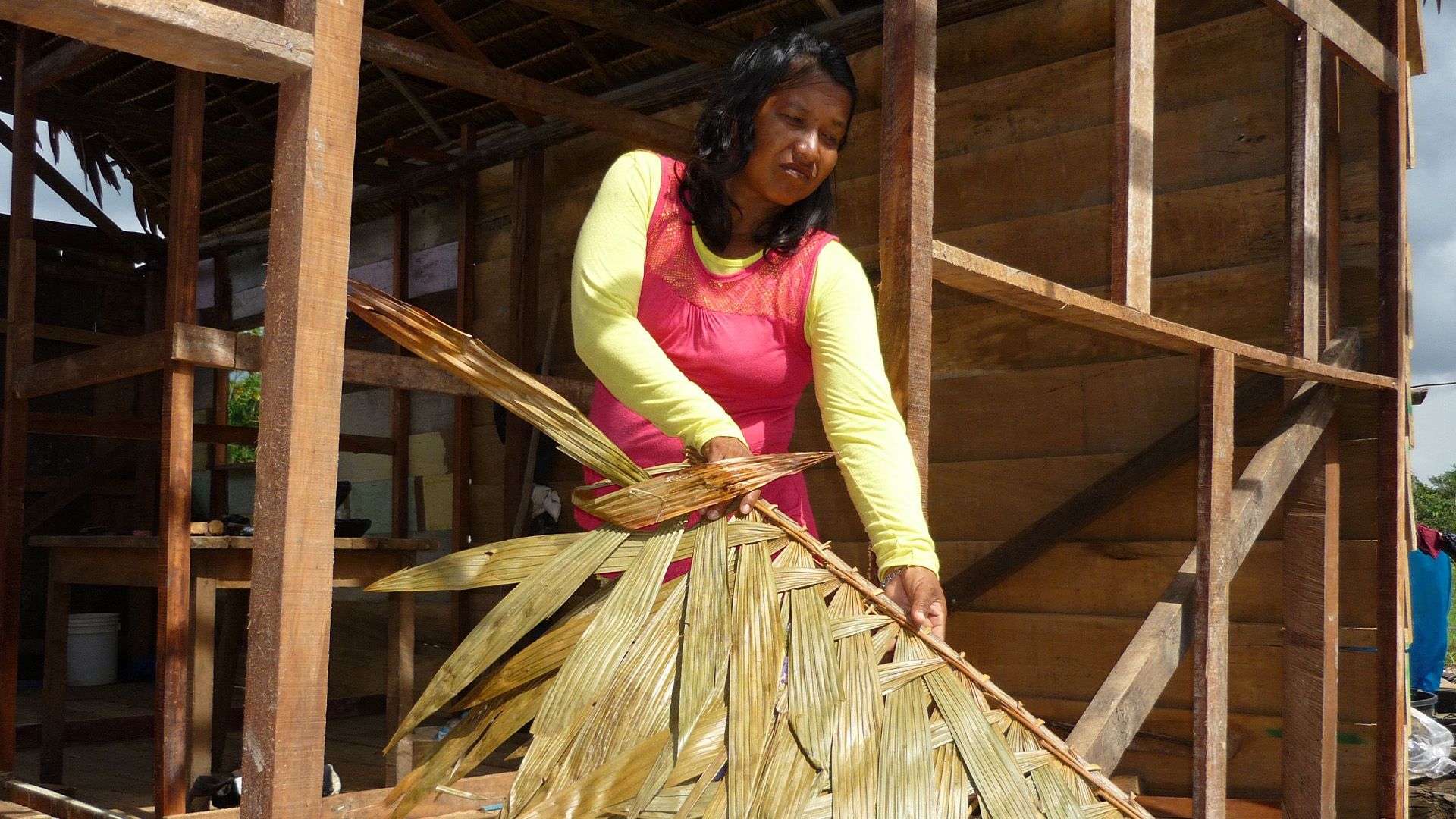 Iquitos, Regenwaldmetropole am Amazonas