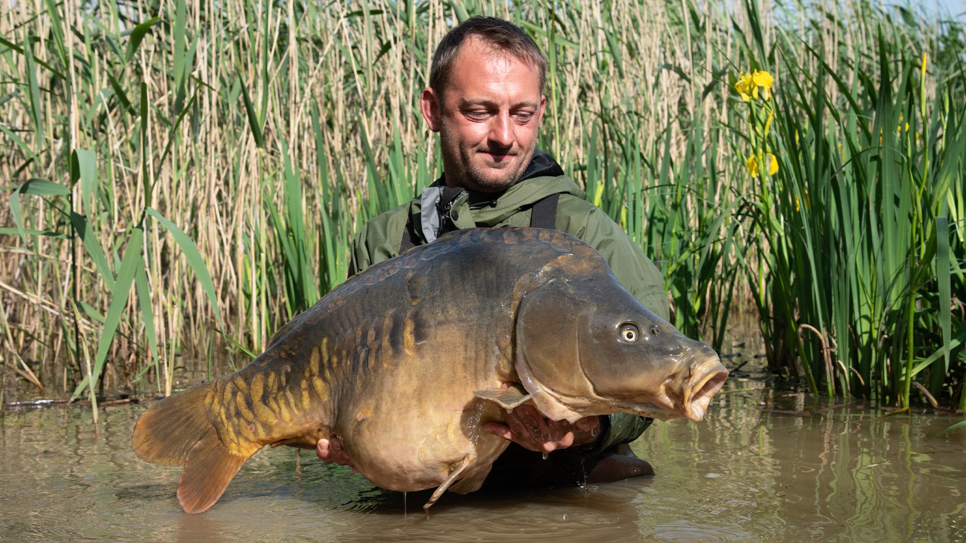 Do you speak English?