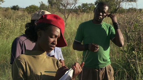 Planet Weltweit Planet Weltweit - Staffel 10 Folge 3: Vom Klassenzimmer in die Kalahari