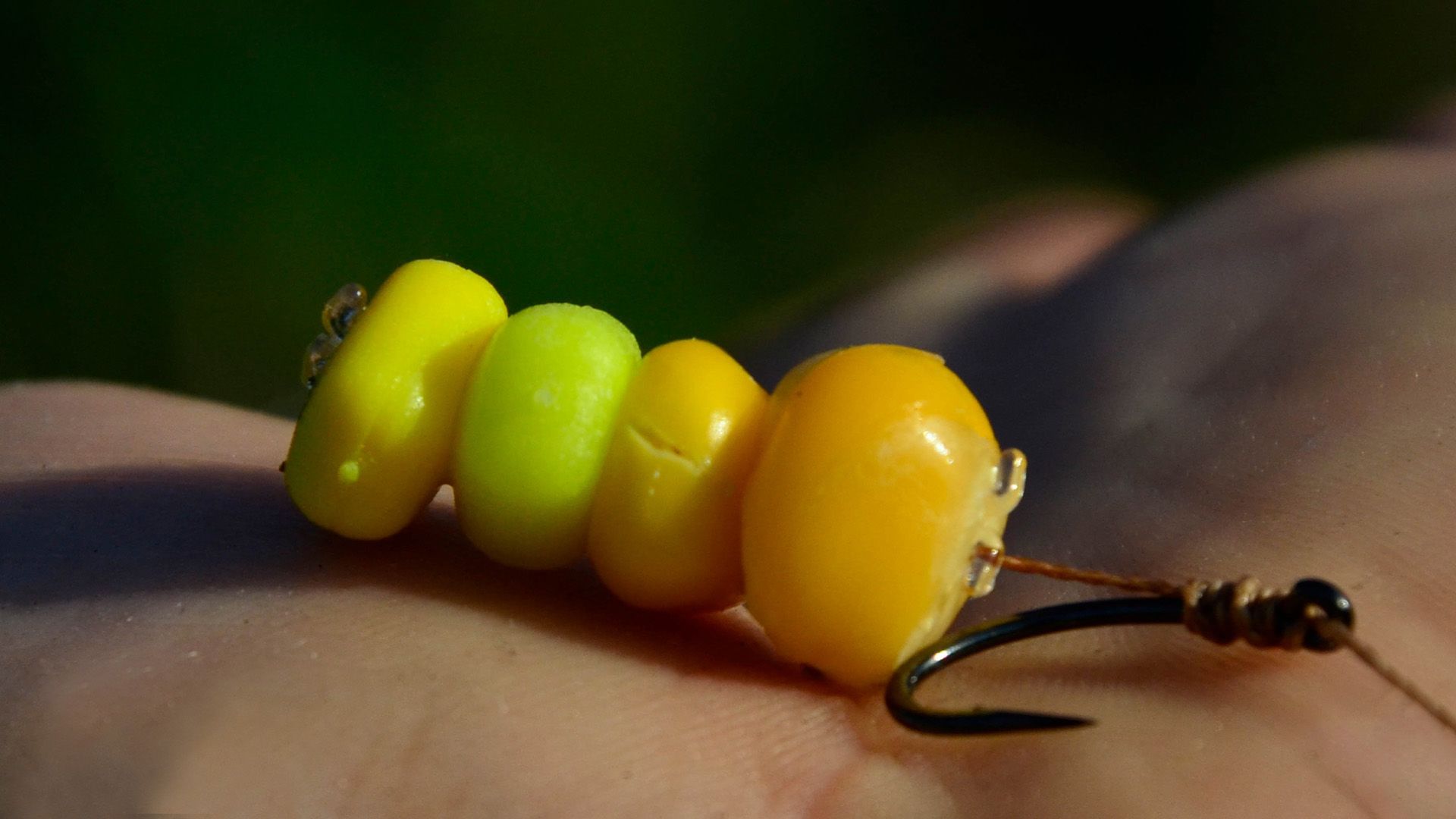 Das Geheimnis von Mais