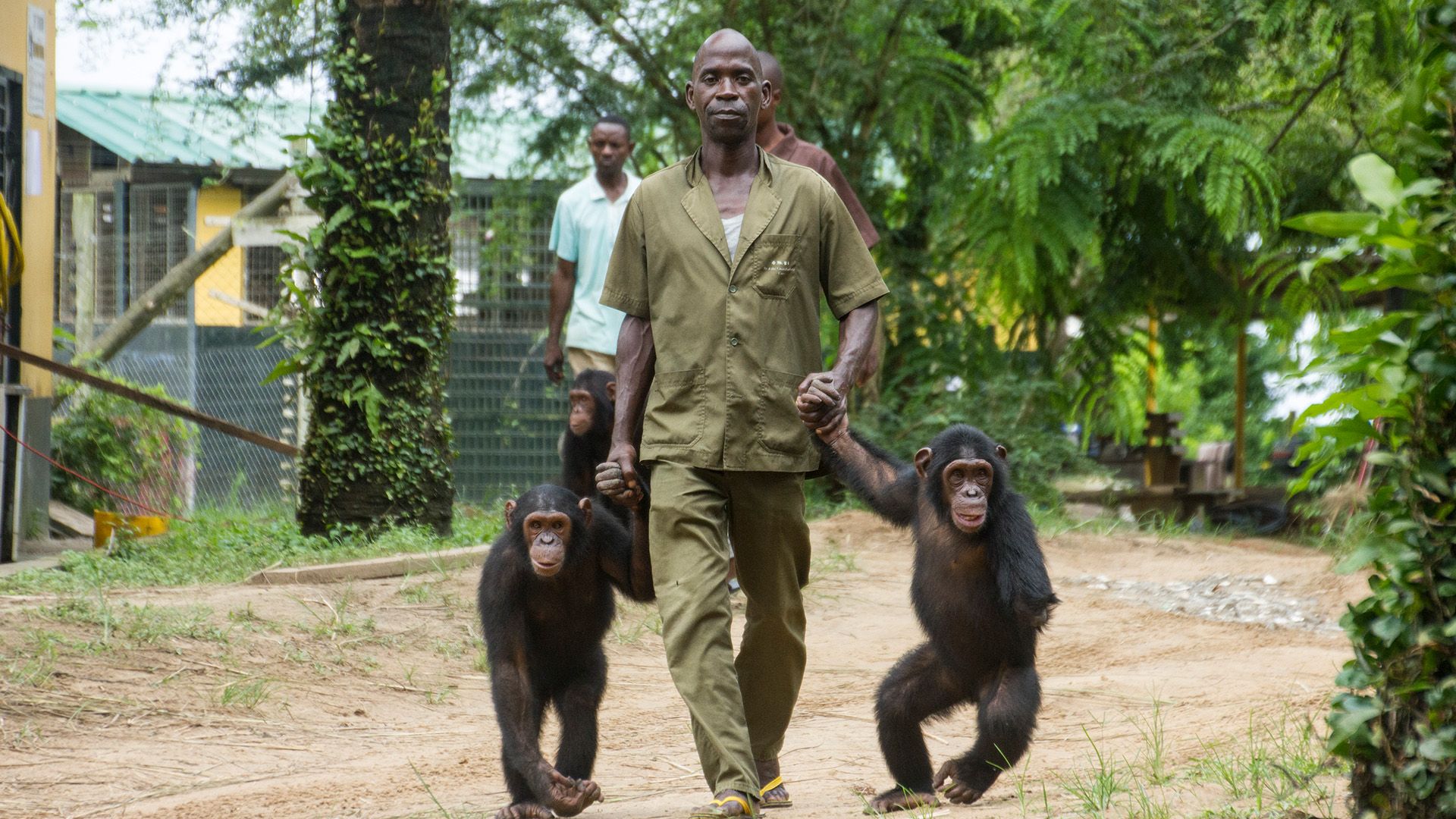 Drei Inseln im Fluss