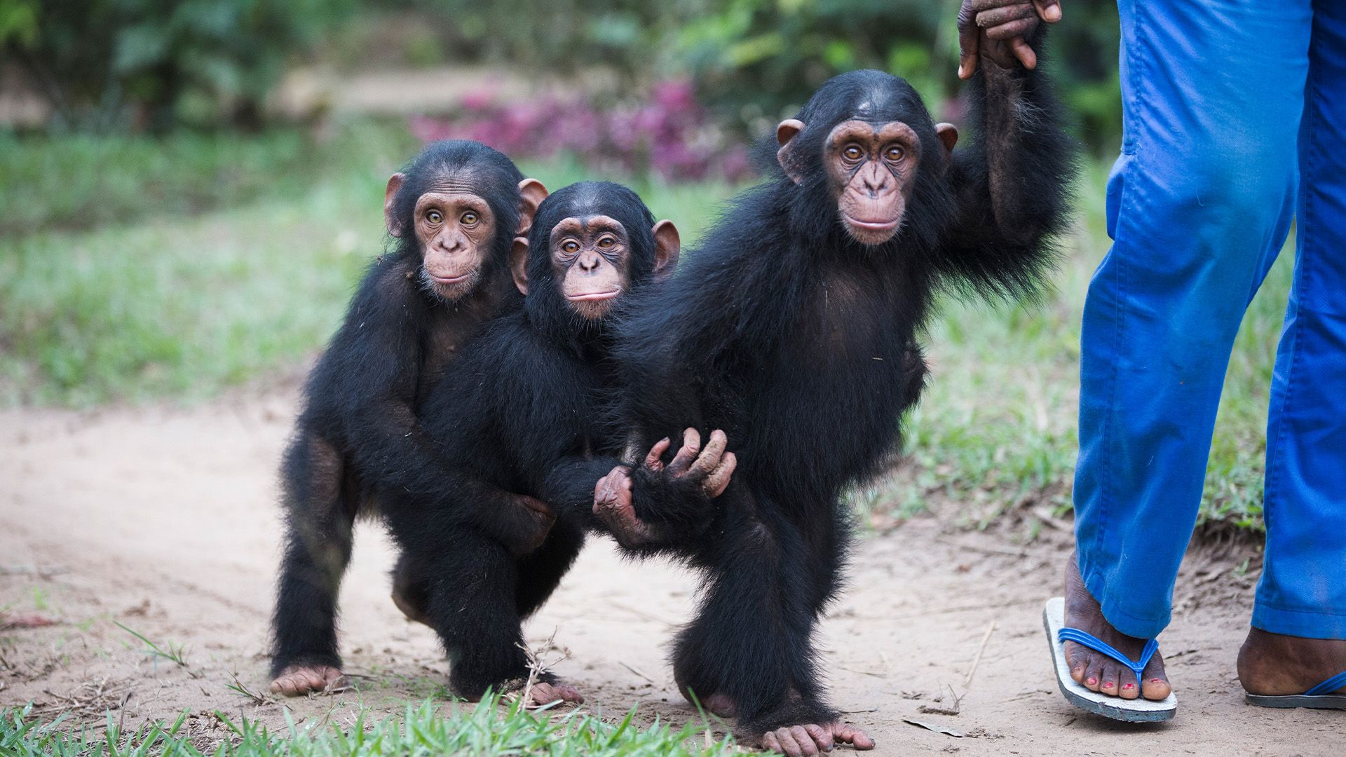 Die Früchte der Arbeit