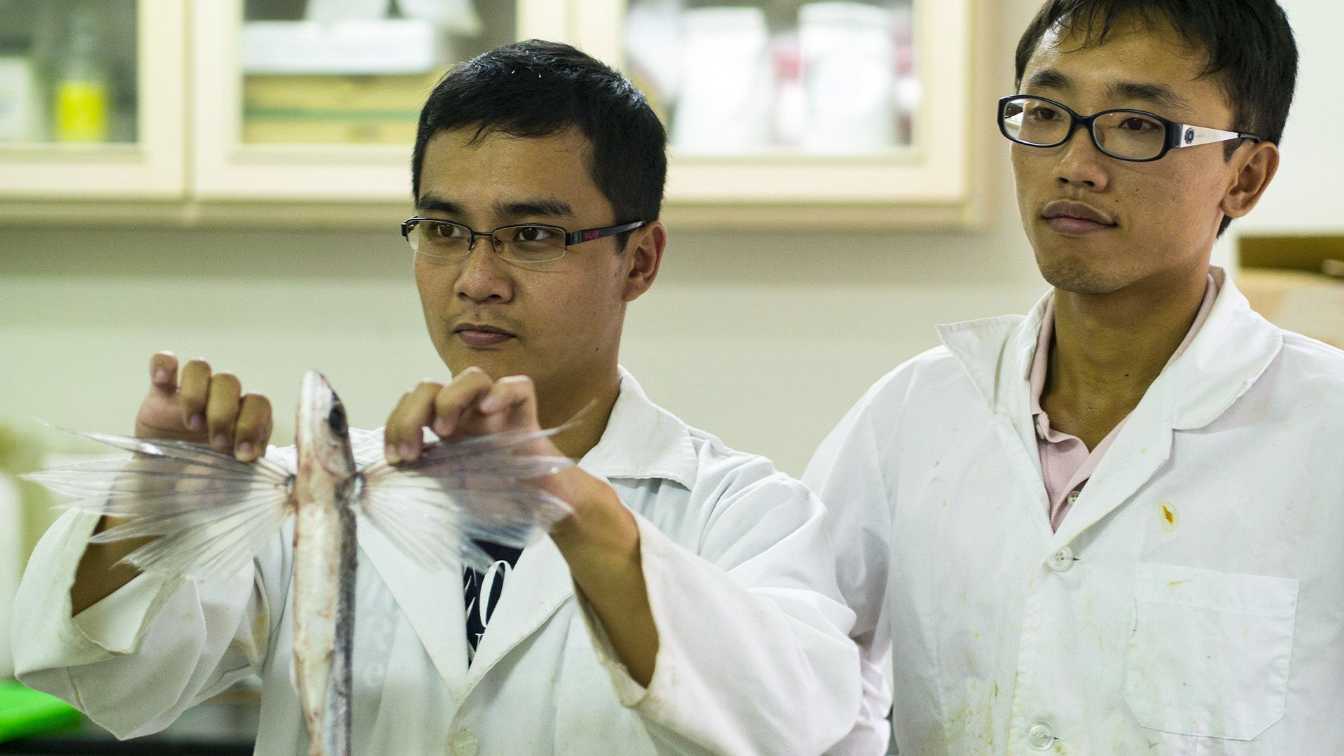 Taiwan - Fliegende Fische oder Atommüll?