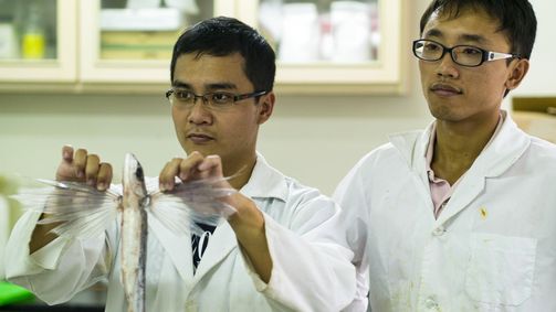 Planet Weltweit Planet Weltweit - Staffel 15 Folge 11: Taiwan - Fliegende Fische oder Atommüll?