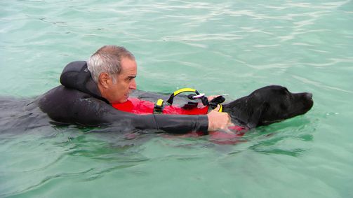 Planet Weltweit Planet Weltweit - Staffel 13 Folge 15: Die Rettungshunde vom Gardasee