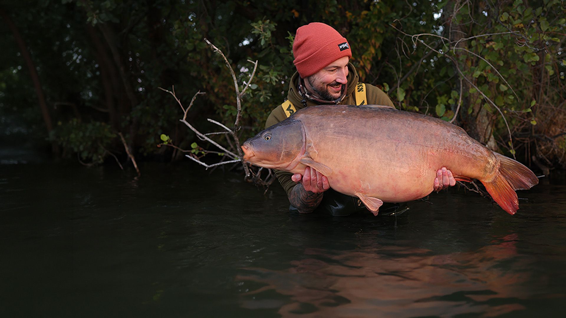 Karpfenangeln vom Kajütboot - Mein Abenteuer auf dem Wasser