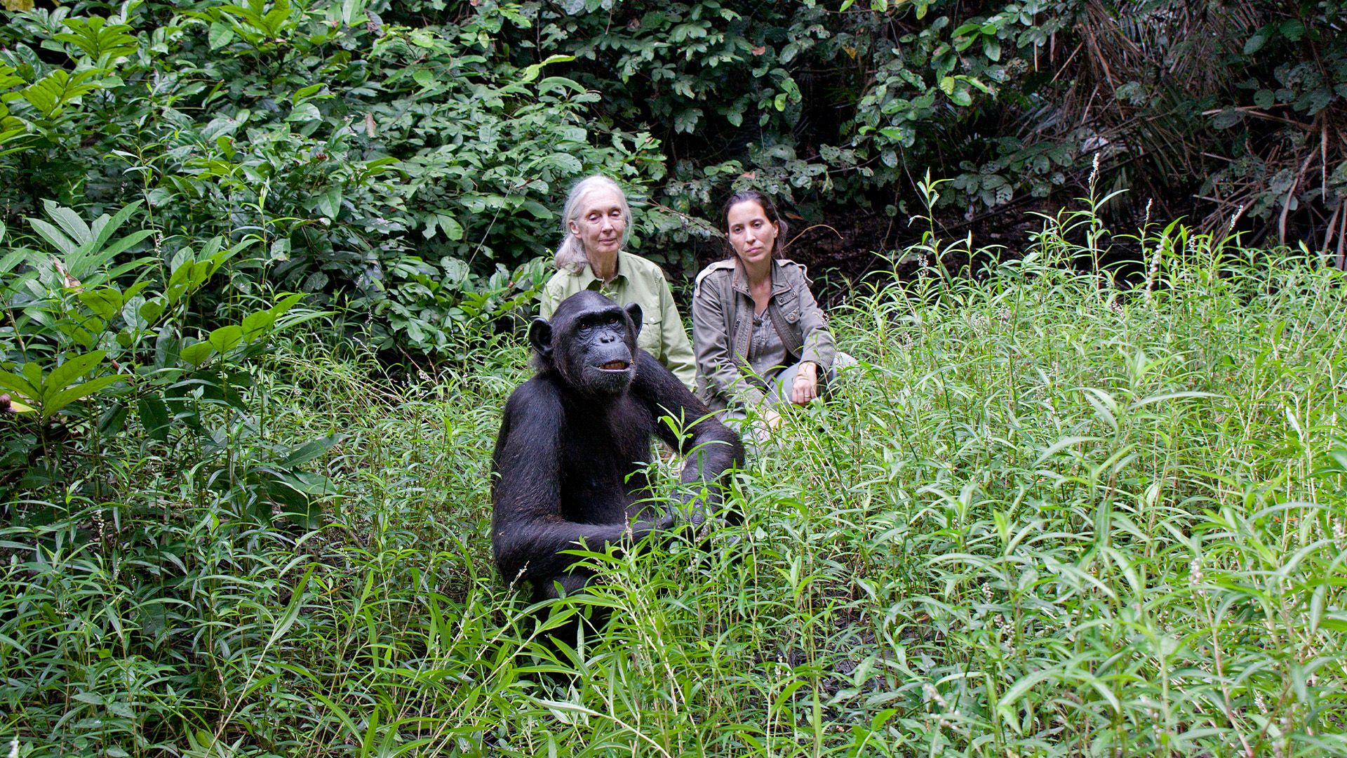 Die Karten werden gemischt