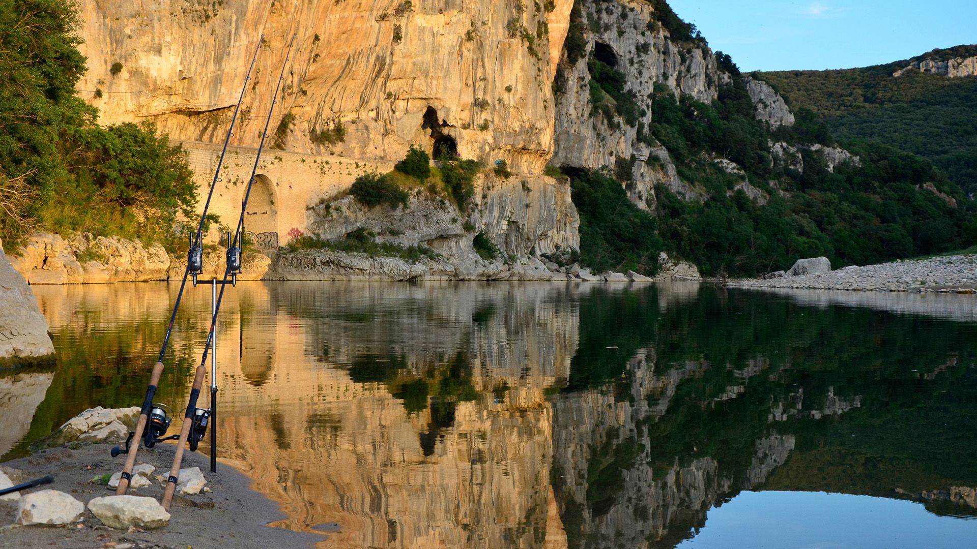 Wie weit ziehen Karpfen?