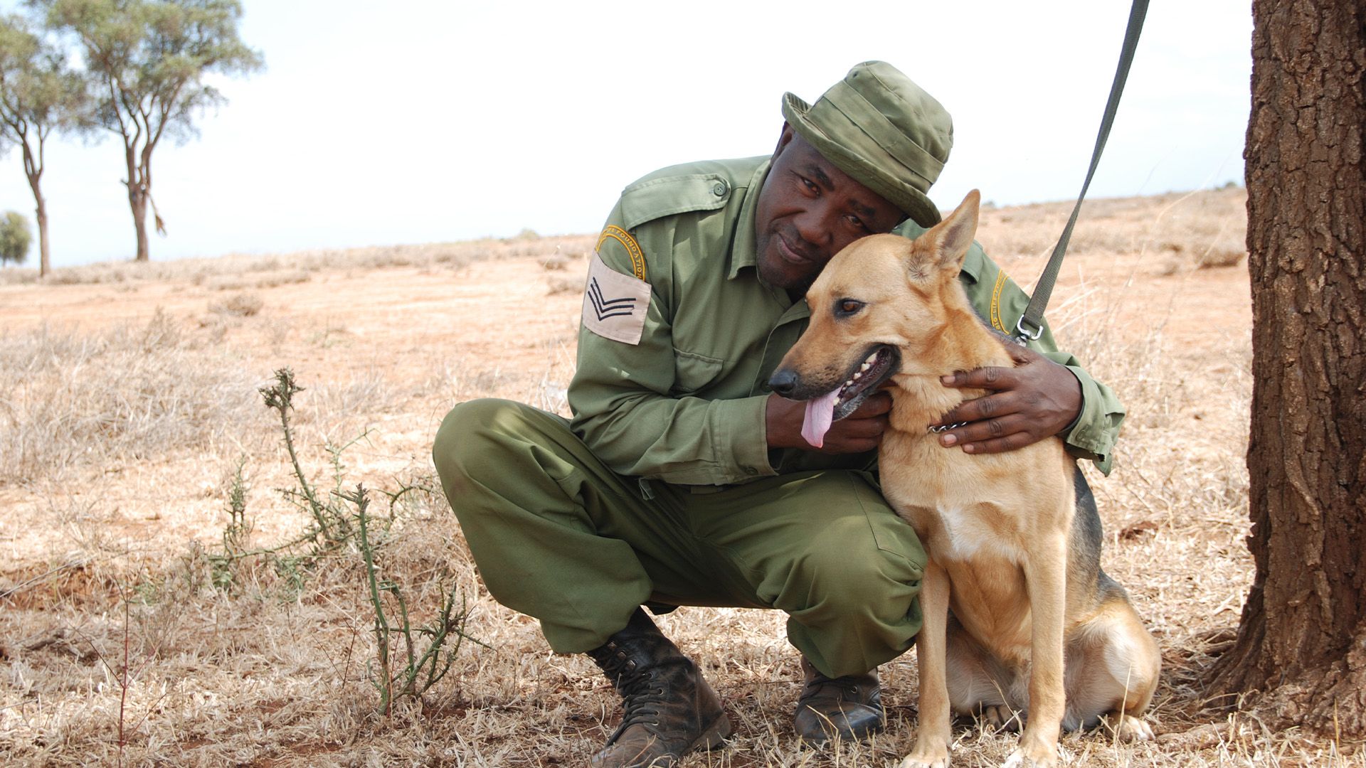 Kenias Spürhunde - Rettung für die Elefanten