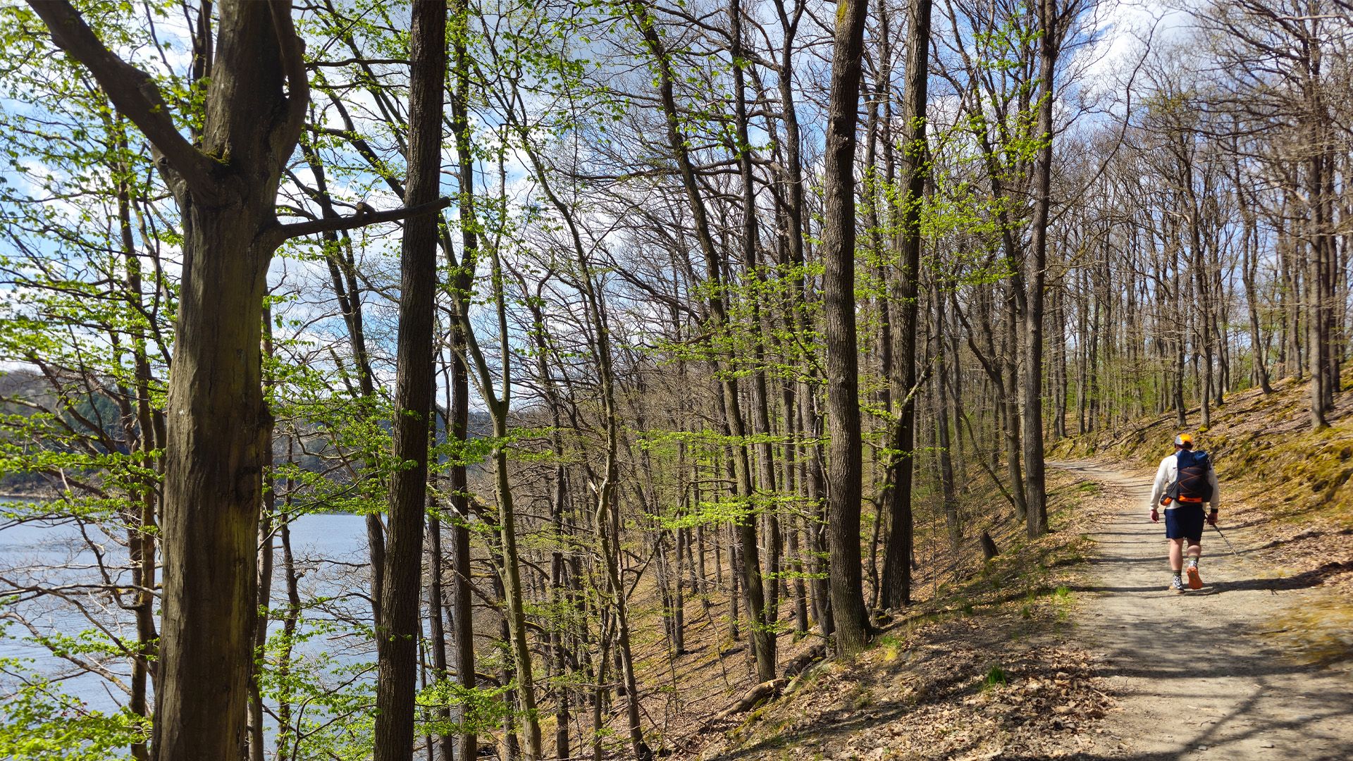 Robert Klink - 10 Tage Eifel-Wildnis: Trekking Eifelsteig Teil 3