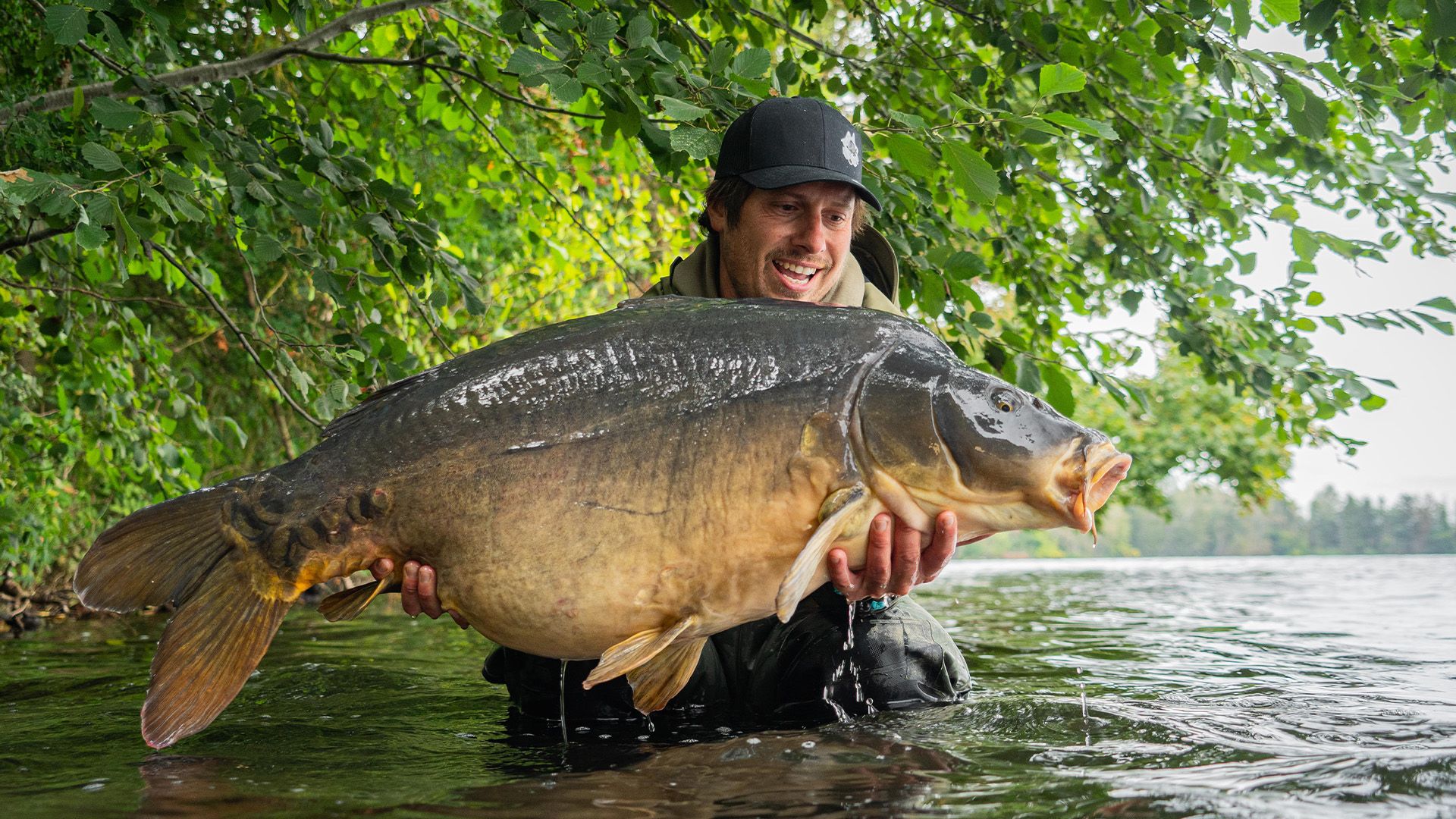 Karpfenangeln in Ungarn