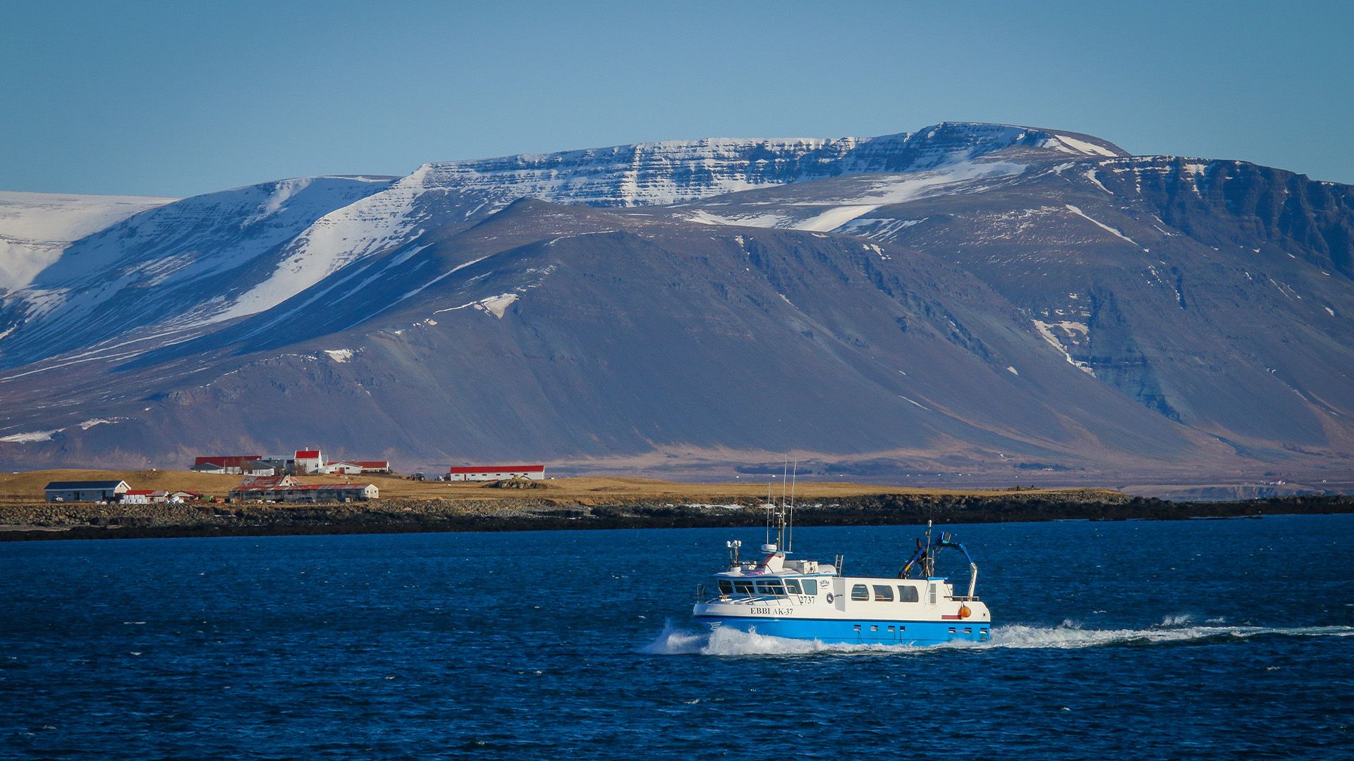 Island - Seltsame Schätze aus dem Meer