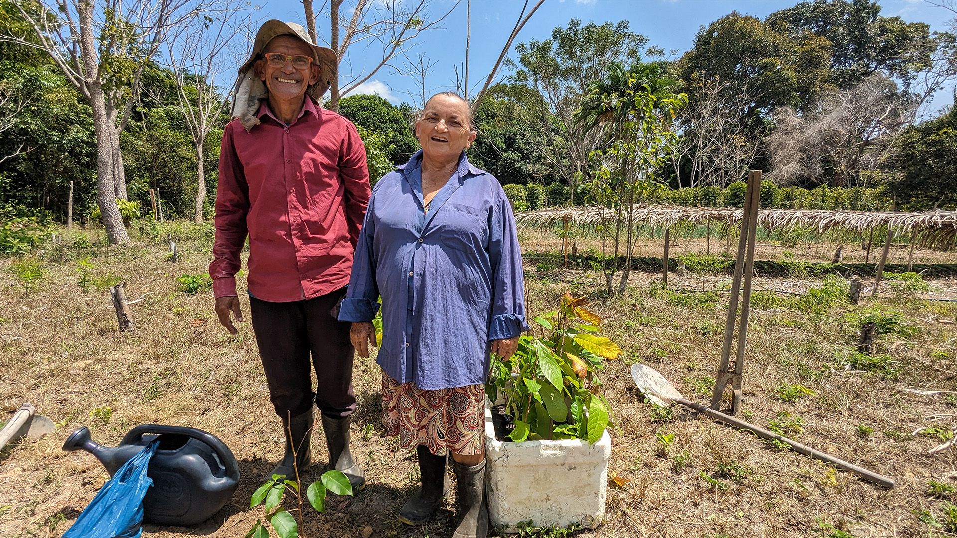Brasiliens Regenwald - Zurück in die Zukunft