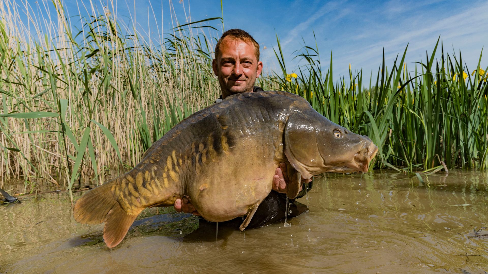 Paylake oder öffentlich?