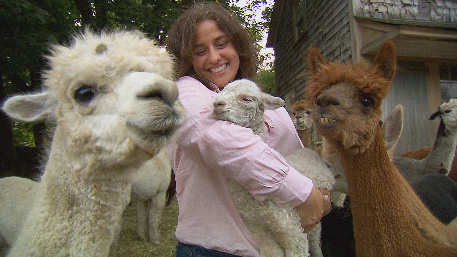 Im Herzen Neuenglands