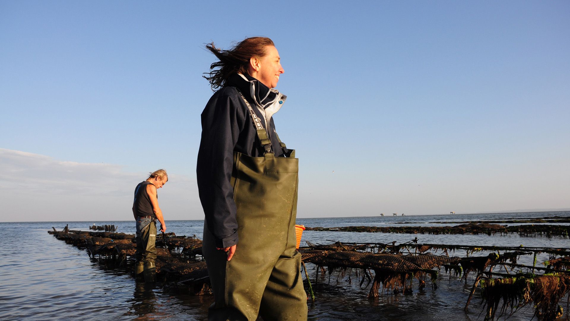 Sylt, Föhr und Amrum