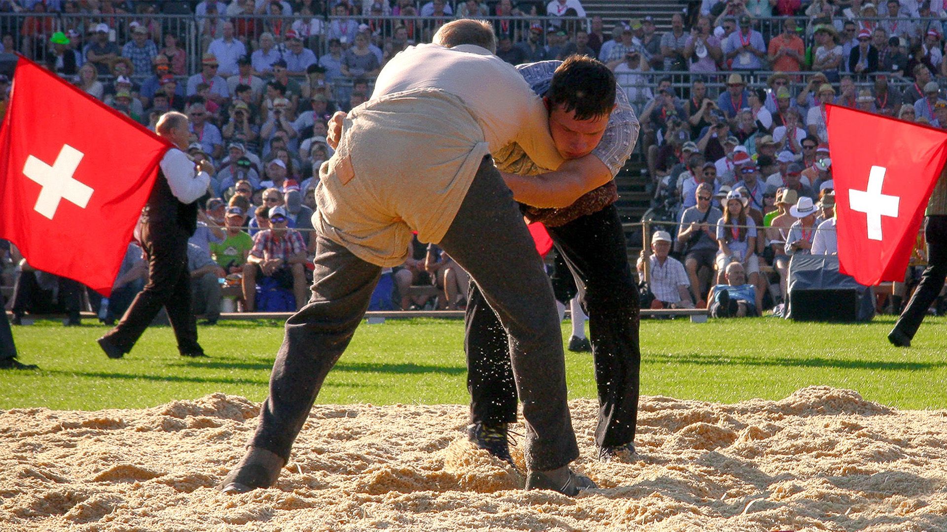 Wilde Schweiz - Von Ringern und Schwingern