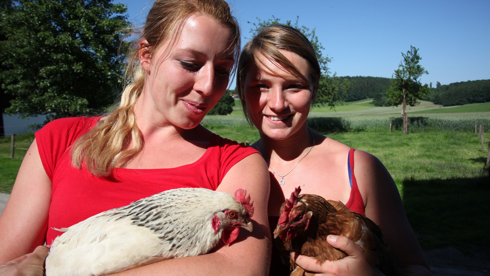 Gnadenhof "Gut Aiderbichl"