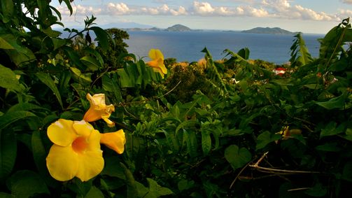 Planet Weltweit Planet Weltweit - Staffel 13 Folge 7: Rum auf Guadeloupe